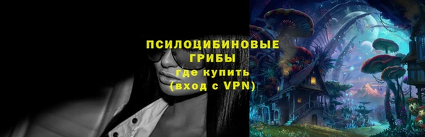 трава Беломорск
