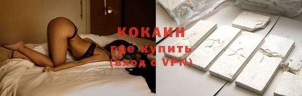 индика Белоозёрский