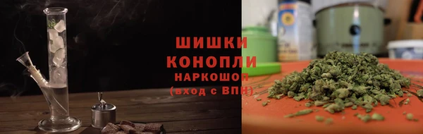 индика Белоозёрский