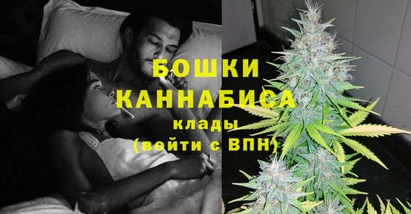 индика Белоозёрский