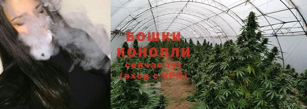 трава Беломорск