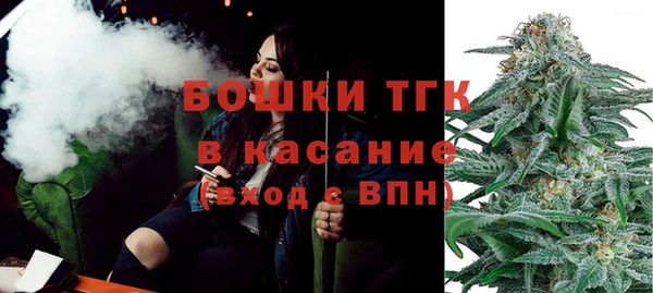 индика Белоозёрский