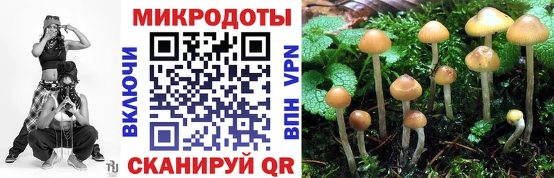 Галлюциногенные грибы Cubensis  купить наркотик  ссылка на мегу рабочий сайт  Городец 
