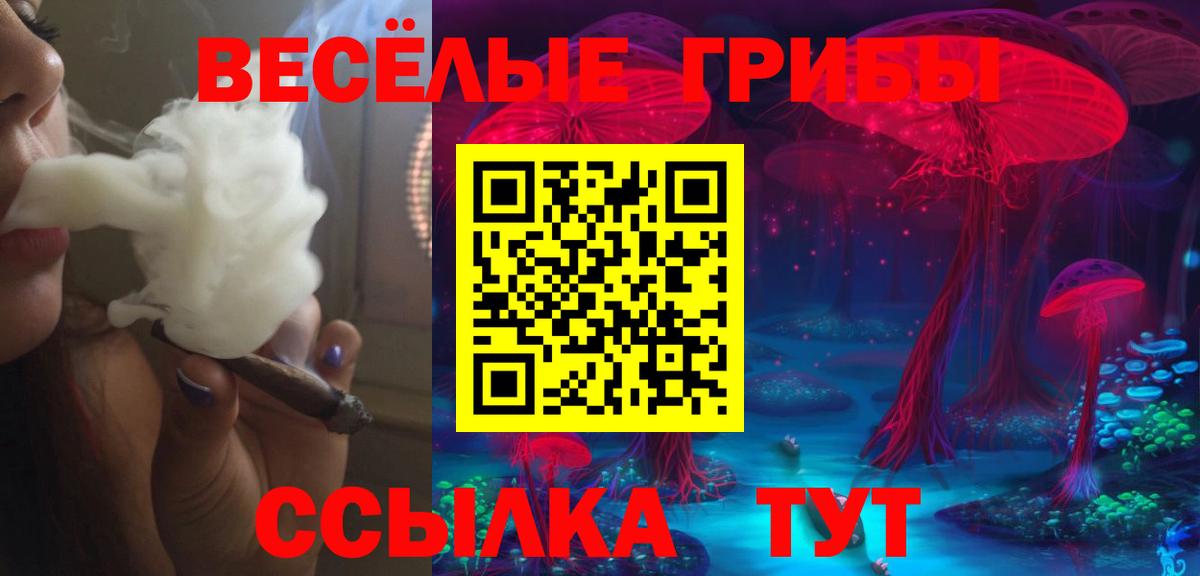 Городец  Псилоцибиновые грибы прущие грибы  купить   Псилоцибиновые грибы Magic Shrooms  Вход с VPN 